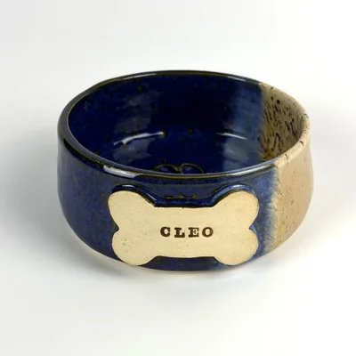 Dog Bowl