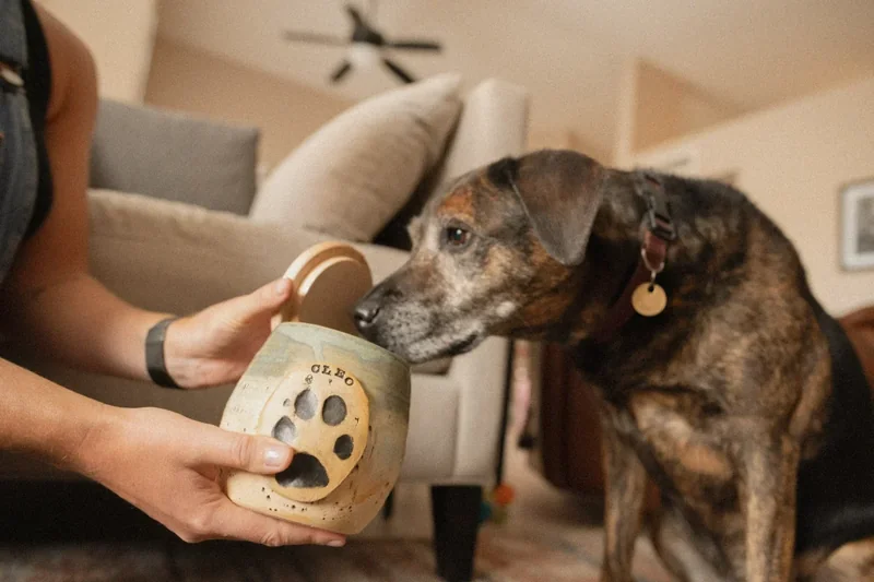 Image: pet and owner together