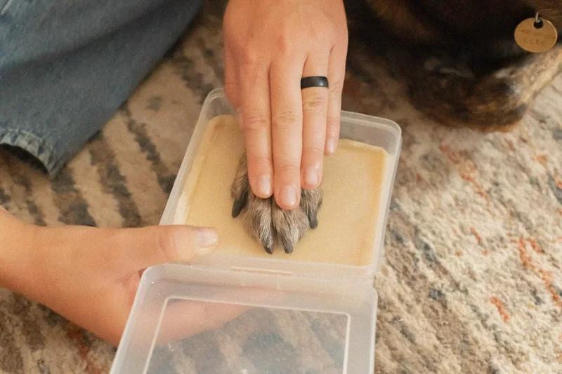 Image: impression kit on a table